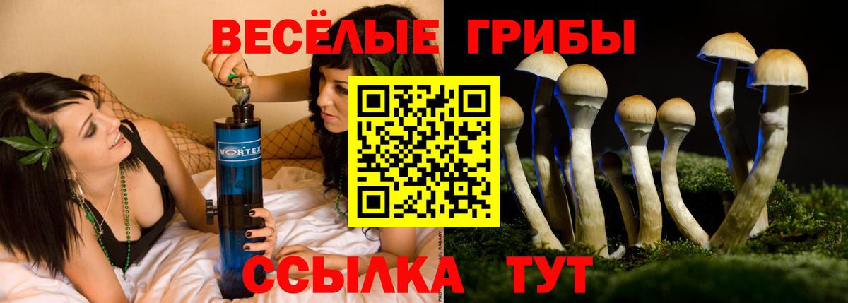 Кыштым  Псилоцибиновые грибы ЛСД  Галлюциногенные грибы Magic Shrooms  Вход с VPN 